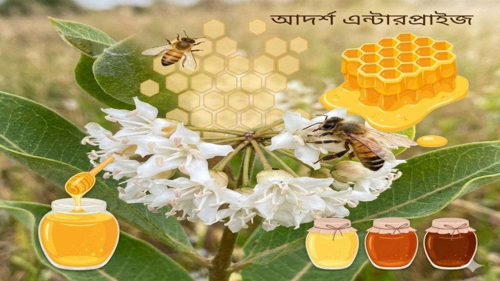 খলিশা-ফুলের-মধু